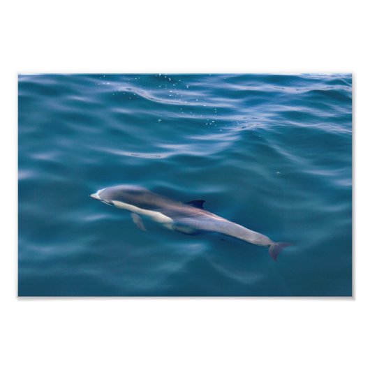 Dana Point Fotodruck (Vorne)