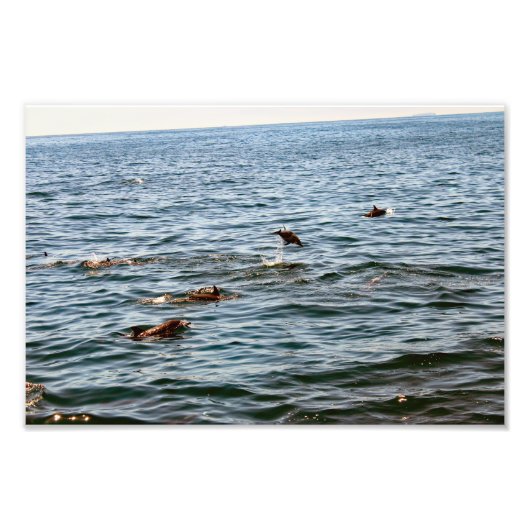 Dana Point Fotodruck (Vorne)