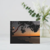 Dana Point Harbor Sunset Postkarte (Stehend Vorderseite)