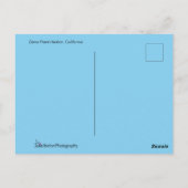 Dana Point Harbour California Postkarte (Rückseite)