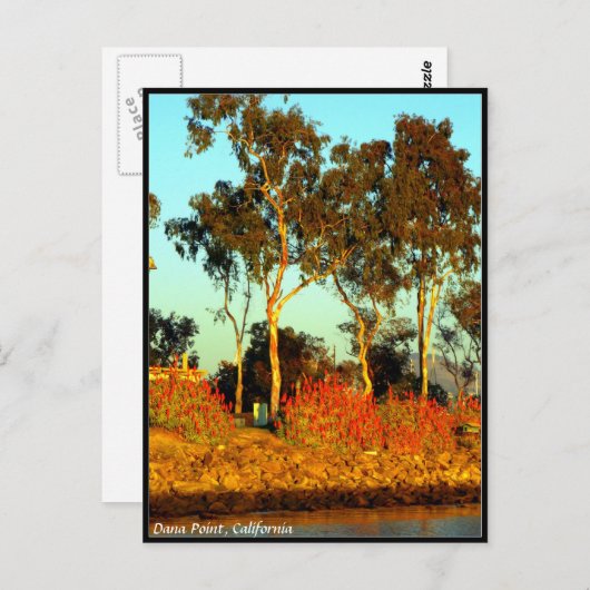 Dana Point Postcard Postkarte (Vorne/Hinten)
