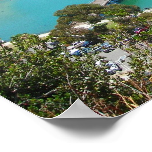 Dana Point Poster (Ecke)