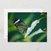 Dana Postcard Postkarte (Vorne/Hinten)