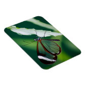 Dana Premium Magnet (Rechte Seite)