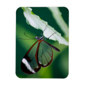 Dana Premium Magnet (Vertikal)