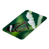 Dana Premium Magnet (Linke Seite)