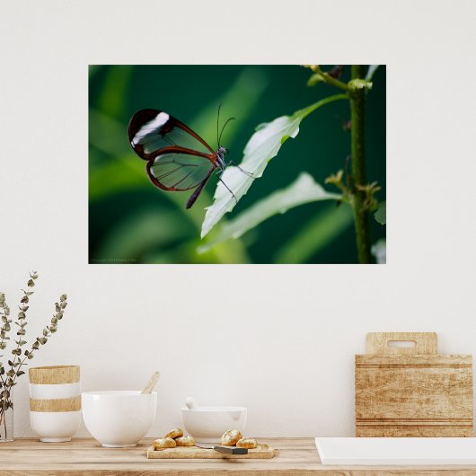 Dana Print Poster (Küche)