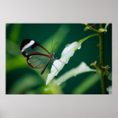 Dana Print Poster (Vorne)