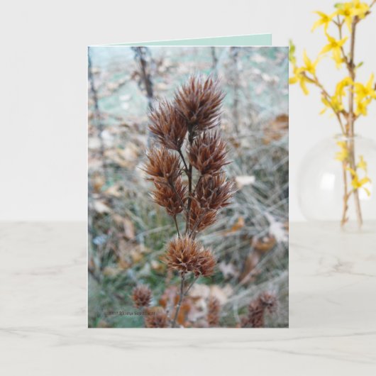 Danach Karte (Gelbe Blume)