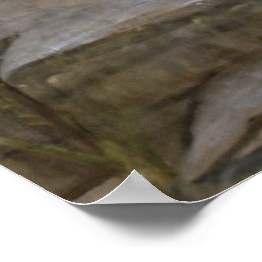 Danaides John William Waterhouse Poster (Ecke)