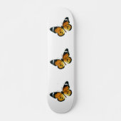 Danaus chrysippus - Das Schlichte Tiger, die afrik Skateboard (Vorne)