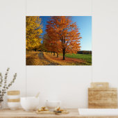 Danby Vermont Autumn Leaves Poster (Küche)
