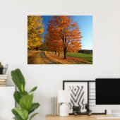Danby Vermont Autumn Leaves Poster (Heimbüro)