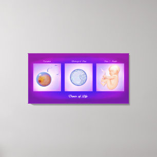 Dance of Life Pregnancy Art Canvas Print Leinwanddruck