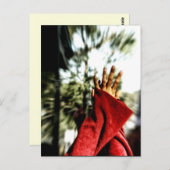 Dancefloor Glimpses Postkarte (Vorne/Hinten)