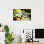 "Dancing at Dawn" Phlox Wildblume Poster (Heimbüro)