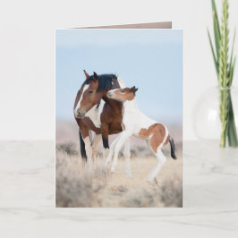 Dancing at Dawn Wild Horse Greeting Card Karte