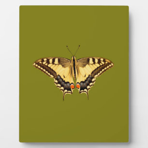 Dancing Butterfly Fotoplatte