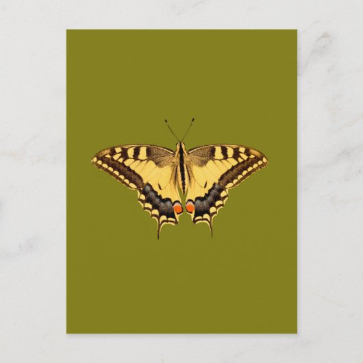 Dancing Butterfly Postkarte (Vorderseite)