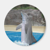 Dancing Dolphin Magnet (Vorne)