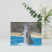 Dancing Dolphin Post Card Postkarte (Stehend Vorderseite)