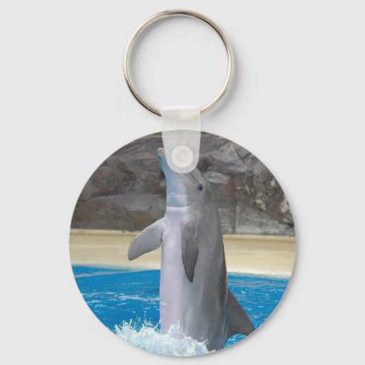 Dancing Dolphin Schlüsselkette Schlüsselanhänger (Vorderseite)