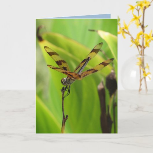 Dancing Dragonfly Geburtstag Karte (Gelbe Blume)