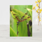 Dancing Dragonfly-Grußkarte Karte (Gelbe Blume)