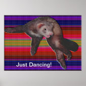Dancing Ferret Farbmuster Poster (Vorne)