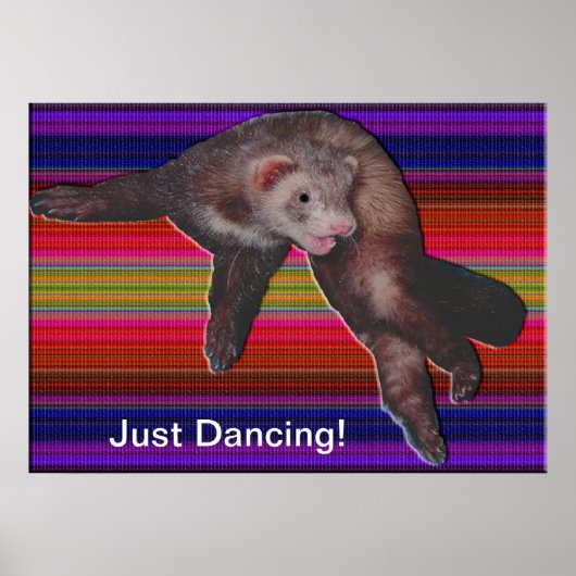 Dancing Ferret Farbmuster Poster (Vorne)