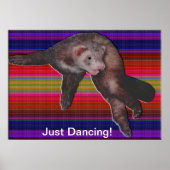 Dancing Ferret Poster (Vorne)