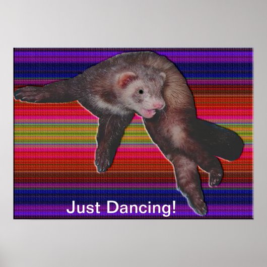 Dancing Ferret Poster (Vorne)