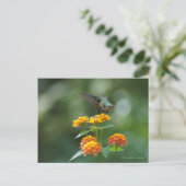 Dancing Jewel Postkarte (Stehend Vorderseite)