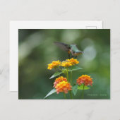 Dancing Jewel Postkarte (Vorne/Hinten)