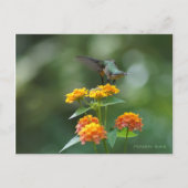 Dancing Jewel Postkarte (Vorderseite)