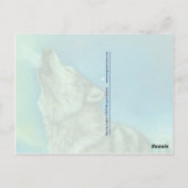 Dancing Lights hewlen Wolf Postkarte (Rückseite)