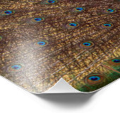 Dancing Peacock (Landscape) Fotodruck (Ecke)