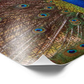 Dancing Peacock (Portrait) Fotodruck (Ecke)