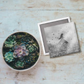 Dancing with birds I Magnet