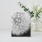 Dandalion Postkarte (Stehend Vorderseite)