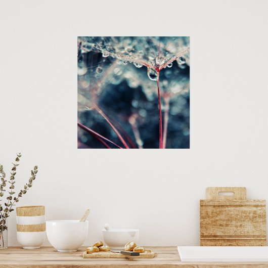 Dandalion Seeds with Drops Macro Abstrakt Poster (Küche)
