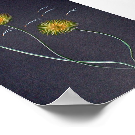 Dandela Poster Print Large (Ecke)