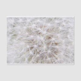 Dandelion 9668 seidenpapier