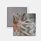 Dandelion Abstrakt Magnet (Vorderseite/Rückseite)