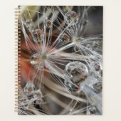 Dandelion Abstrakt Planer (Vorderseite)