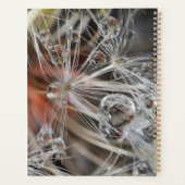 Dandelion Abstrakt Planer (Rückseite)
