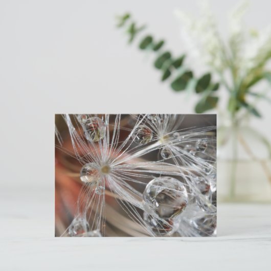 Dandelion Abstrakt Postkarte (Stehend Vorderseite)