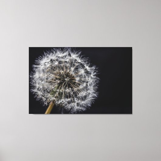 Dandelion Art Print Leinwanddruck (Vorderseite)
