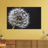 Dandelion Art Print Leinwanddruck (Insitu (Wohnzimmer))
