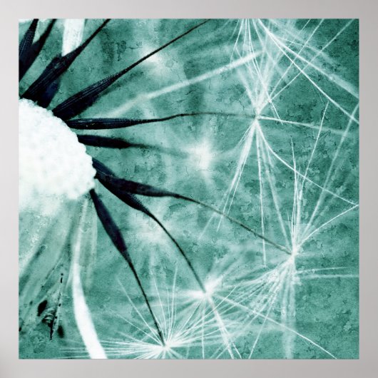 Dandelion Art - Pusteblume Kunst 2012 008 Poster (Vorne)
